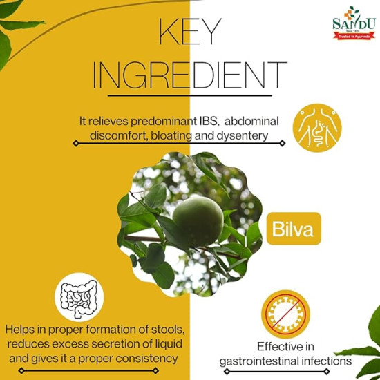 Sandu Bilagyl Powder - Natural Digestive Health Solution