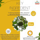 Sandu Bilagyl Powder - Natural Digestive Health Solution