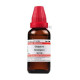 Dr Willmar Schwabe India Damiaplant Drop - For Sexual Wellness