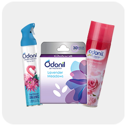 Air Fresheners