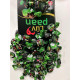 Cintu Luv Paan Truffle Chocolate - Refreshing Paan Flavor
