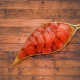 Bazaar5 Orange Candy 100G - Vibrant Orange Flavor
