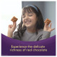 Sunfeast Dark Fantasy Choco Chip Cookies Combo Pack 357.5 G - Scrumptious Cookies with Crunchy Chocolate Chips