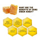 Dabur Honey Squeezy 400 G - Buy 1 Get 1 Free - Natural Sweetener