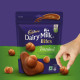 Cadbury Dairy Milk Bites - Hazelnut 40g - Creamy Hazelnut Delight