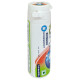 Orbit Raw Mango Chewing Gum 22 G - Refreshing Flavor