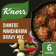 Knorr Chinese Manchurian Gravy Mix 55 G - Authentic Flavor Fusion