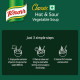 Knorr Classic Hot & Sour Vegetable Soup 41 G - Delicious & Easy