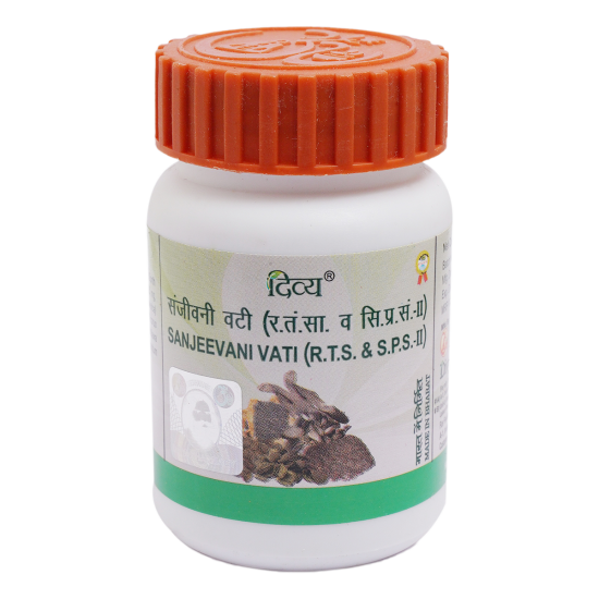 Divya Sanjeevani Vati 160 N - Natural Herbal Supplement for Well-being