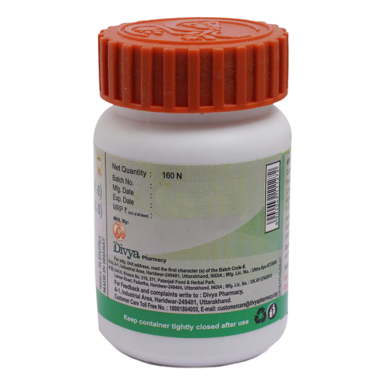 Divya Sanjeevani Vati 160 N - Natural Herbal Supplement for Well-being