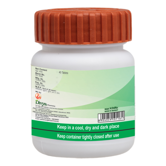 Divya Vrikkdoshhar Vati 20 g - Herbal Kidney Support