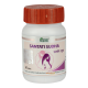 Divya Santati Sudha 60 N 35 g - Natural Herbal Supplement