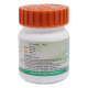Divya Vriddhivadhika Vati 20 g - Herbal Supplement for Well-being