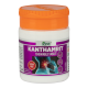 Divya Kanthamrit Chewable Tablet 40 N 6 g - Convenient Supplement for Well-being