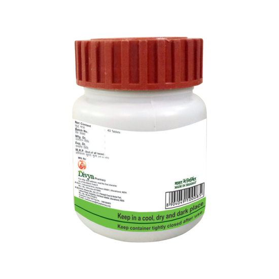 Divya Udramrit Vati 20 g - Natural Herbal Digestive Support