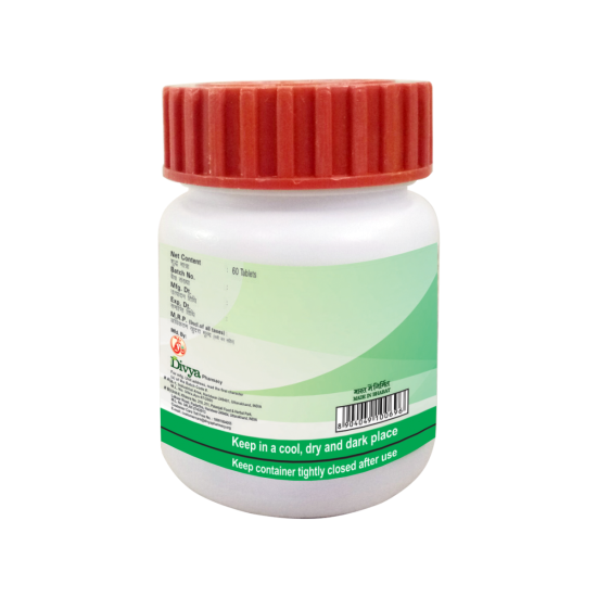 Divya Shilajeet Rasayan Vati 20 g - Natural Dietary Supplement