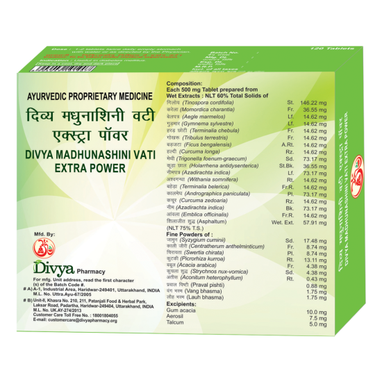 Divya Madhunashini Vati Extra Power 60 g - Natural Herbal Supplement