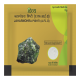 Divya Jaharmohra Pishti 5 g - Ayurvedic Cooling Remedy