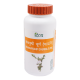 Divya Shankhpushpi Churna 100 g - Herbal Cognitive Support