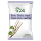Divya Giloy Kwath 200 g - Herbal Supplement for Well-being