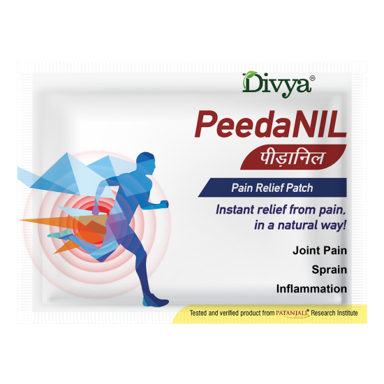 Peedanil Pain Relief Patch 21 g - Targeted Pain Relief Solution