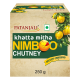 Patanjali Khatta Mitha Nimboo Chutney 250 g - Tangy & Sweet Delight