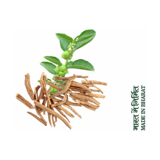 Divya Ashwagandha Churna 100 g - Natural Herbal Supplement