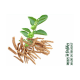Divya Ashwagandha Churna 100 g - Natural Herbal Supplement