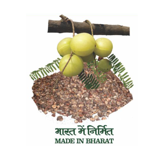 Divya Amla Churna 100 g - Herbal Supplement for Digestive Health