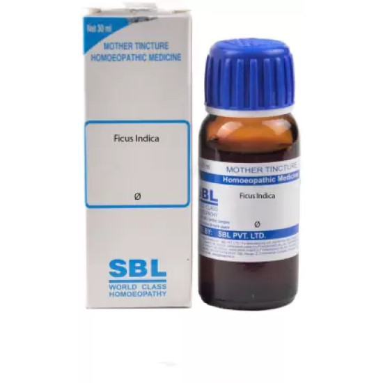 SBL Ficus Indica Mother Tincture Q 30ml