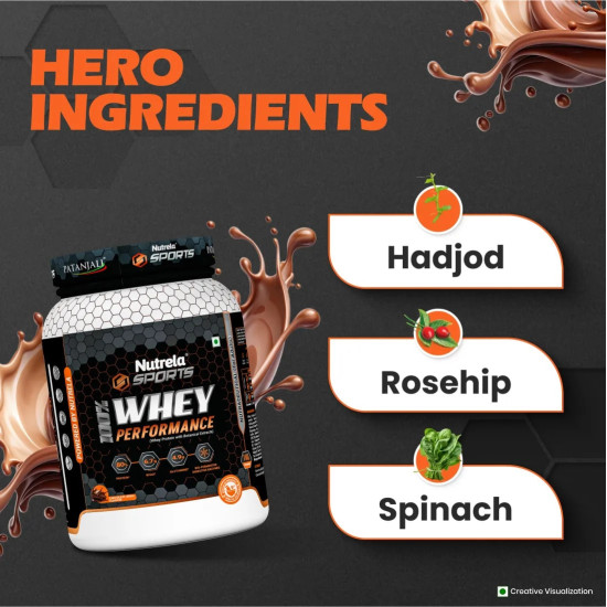 Patanjali Nutrela 100% Whey Performance – Premium Ultra-Filtered Protein Blend | Irish Chocolate Flavour – 1kg Protein with Hadjod, Spinach, Shiitake, Corn & Rosehip | Fast Recovery, Stamina, Energy