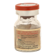 Divya Kumar Kalyan Ras 1 g - Ayurvedic Wellness Supplement