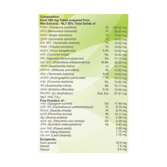 Divya Madhunashini Vati Extra Power 60 g - Natural Herbal Supplement