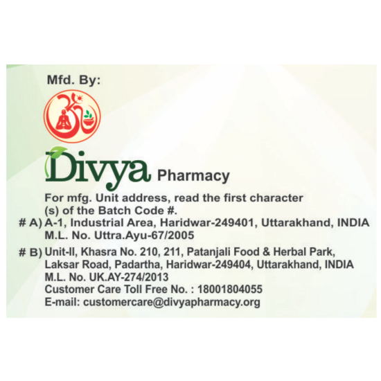 Divya Madhunashini Vati Extra Power 60 g - Natural Herbal Supplement