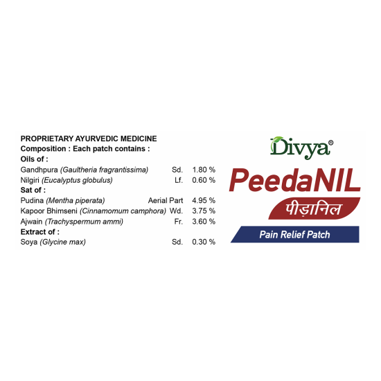 Peedanil Pain Relief Patch 21 g - Targeted Pain Relief Solution