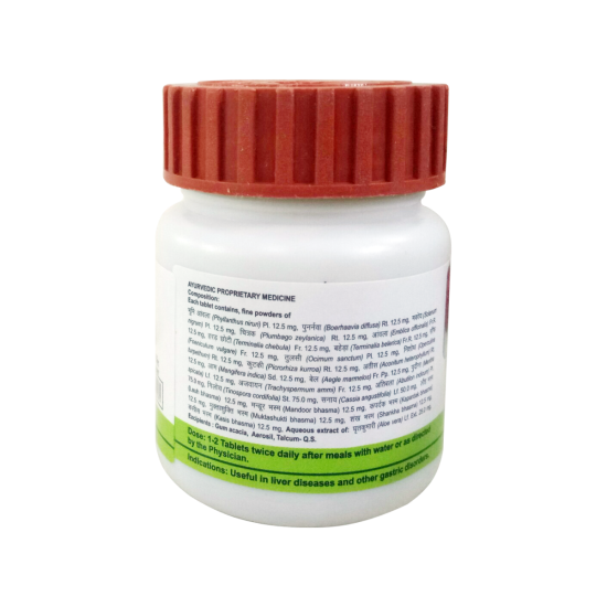 Divya Udramrit Vati 20 g - Natural Herbal Digestive Support