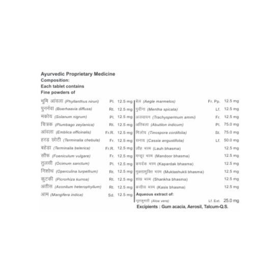 Divya Udramrit Vati 20 g - Natural Herbal Digestive Support
