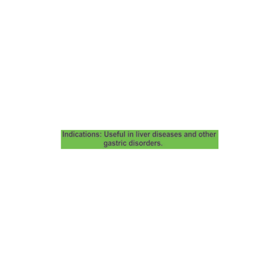 Divya Udramrit Vati 20 g - Natural Herbal Digestive Support