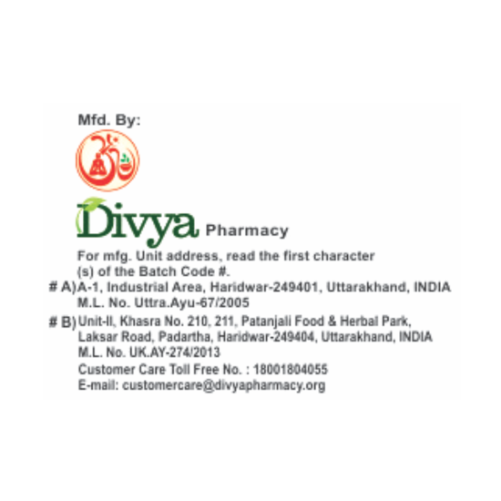 Divya Udramrit Vati 20 g - Natural Herbal Digestive Support