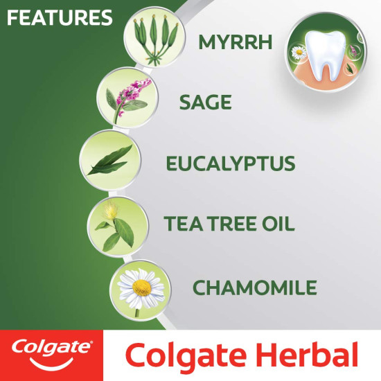 Colgate Herbal Oral Care Toothpaste - Natural Ingredients for Healthy Teeth Colgate Herbal Oral Care Toothpaste - Natural Ingredients for Healthy Teeth