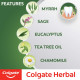 Colgate Herbal Oral Care Toothpaste - Natural Ingredients for Healthy Teeth Colgate Herbal Oral Care Toothpaste - Natural Ingredients for Healthy Teeth