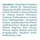 Himalaya Herbals Under Eye Cream - Reduces Dark Circles & Wrinkles