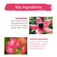 Himalaya Herbals Under Eye Cream - Reduces Dark Circles & Wrinkles