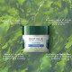 Biotique Bio Seaweed Revitalizing Anti Fatigue Eye Gel - Reduces Dark Circles & Puffiness