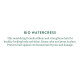 Biotique Bio Watercress Fresh Nourishing Conditioner - Natural Hair Care