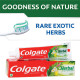 Colgate Toothpaste Herbal - Natural Freshness for Oral Care