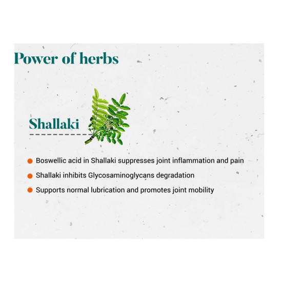 Himalaya Wellness Shallaki Tablets - Reduces Pain and Inflammation