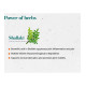 Himalaya Wellness Shallaki Tablets - Reduces Pain and Inflammation