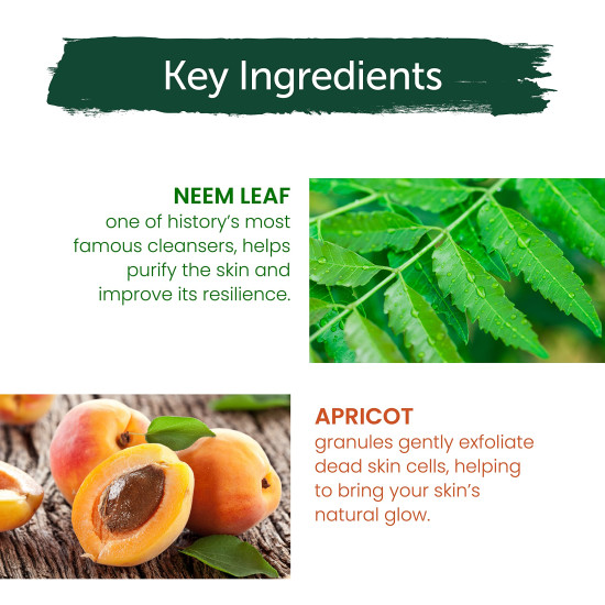 Himalaya Herbals Purifying Neem Scrub - Eliminates Pimples & Prevents Acne