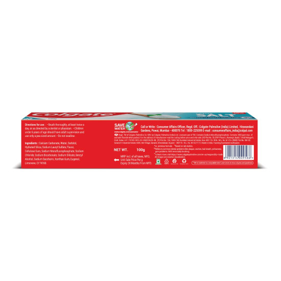 Colgate Active Salt Toothpaste - Daily Germ Protection with Mint